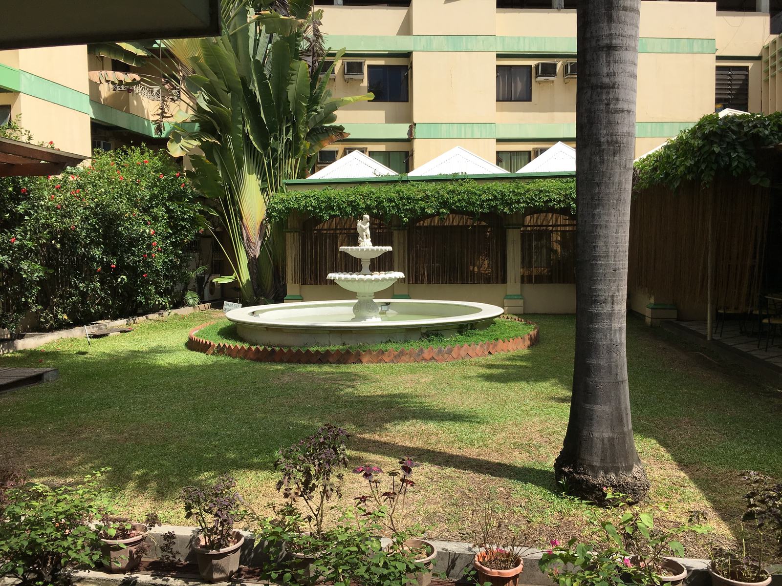 The ZDH courtyard: a white fountain on a lawn, framed by palms and the green-trimmed hospital wings.